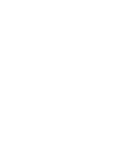 bigmoose